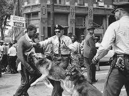 Image result for american south bull connor